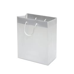NON-IMPRINTED WHITE Frosted Bags - Small 6.5 W x 3.25 D x 8 "D (100/box) 
